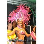 Fiesta Brasil (9).JPG